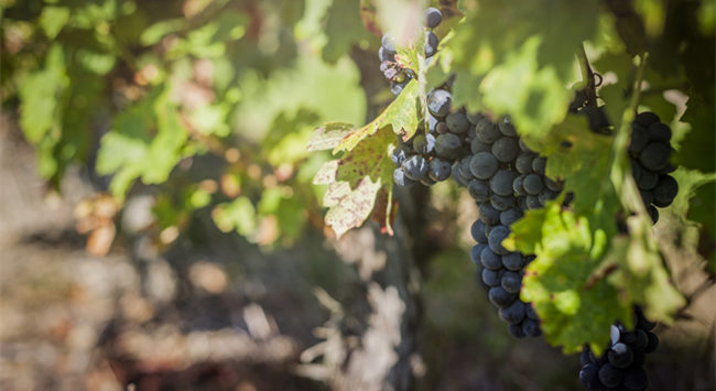 1016_副本 1016_副本